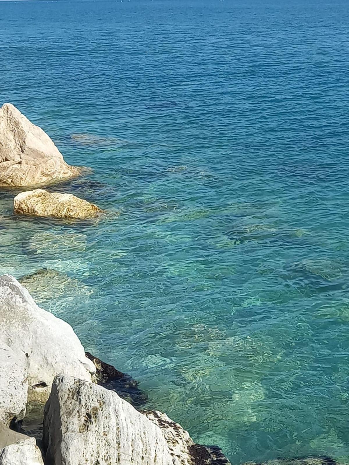 פדאסו Art And Sea B&B מראה חיצוני תמונה